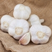 Czosnek jadalny, ozimy Ornak - 5 kg