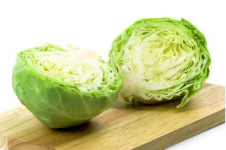 Kapusta głowiasta biała Ditmarska