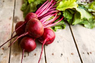 Burak ćwikłowy Karmazyn - NA TAŚMIE