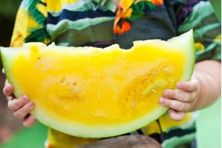 Arbuz, kawon Janosik - żółty