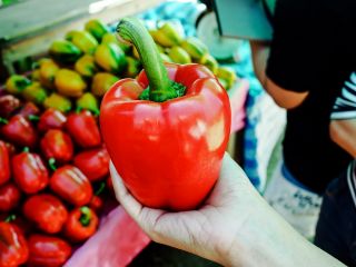 Papryka Symfonia - pod osłony, nasiona odmian profesjonalnych dla każdego