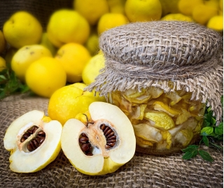 Owoce pigwowca - doskonałe na nalewki i soki - 1 kg