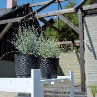 Doniczka okrągła + podstawka Ratolla - 14,5 cm - antracyt