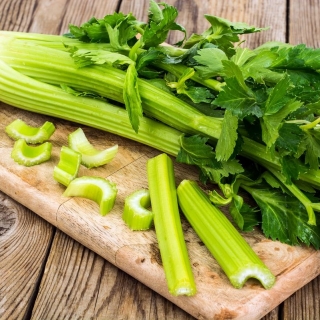 Seler naciowy Zefir - ceniony za wyjątkowy smak i wartości odżywcze