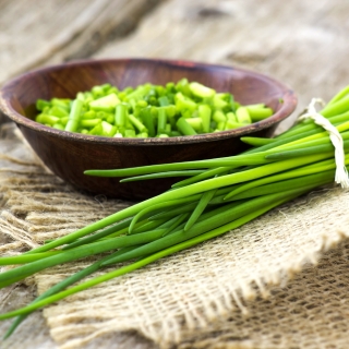 BIO Szczypiorek Medium leaf - Certyfikowane nasiona ekologiczne