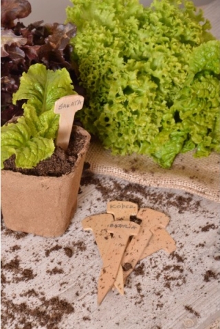 Etykiety drewniane do podpisywania roślin - ekologiczne - 100 szt.