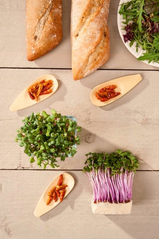 Microgreens - Mizuna mix - młode listki o unikalnym smaku