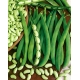 Fasola Presto - karłowa, zielona, typ flageolet