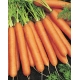 Marchew Nantes 3 (Nantejska) - średnio wczesna - NASIONA OTOCZKOWANE