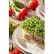 Microgreens - Rzeżucha - młode listki o unikalnym smaku - 1 kg